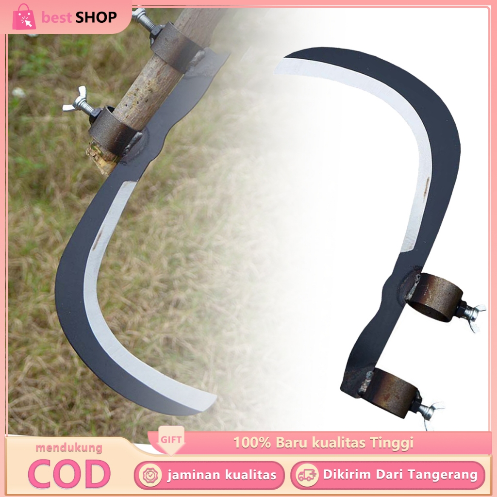 Sabit Pisau Pinang Adjustable Alat Pemotong Rumput Air Dengan Baja Karbon Tajam Untuk Kebun