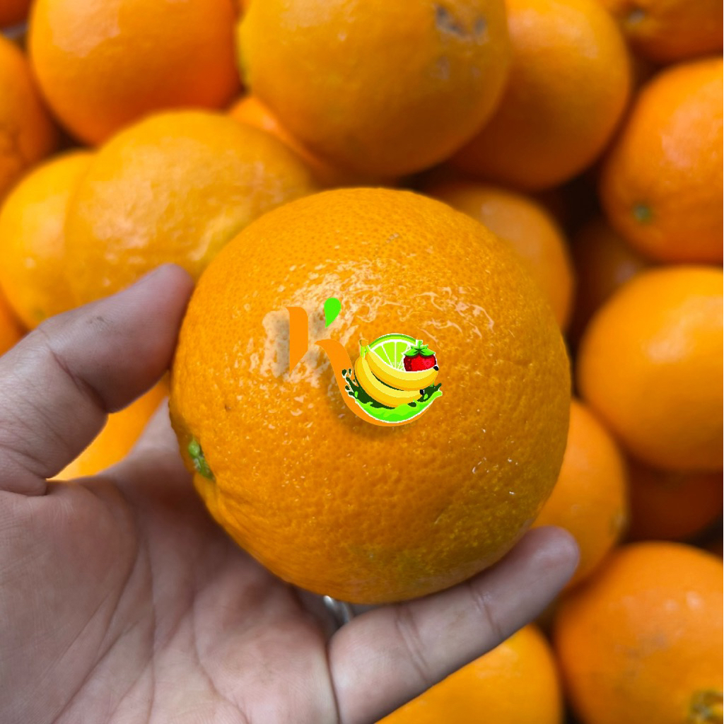 Jeruk Potong Sunkist Australia