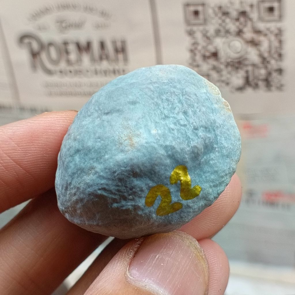 Muncang Adu Pait Cimaung Jr kode 22