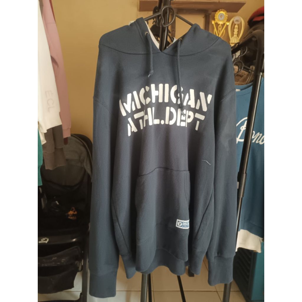 hoodie michigan