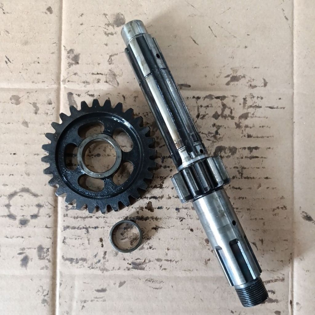 gigi 1 rasio tiger ori copotan