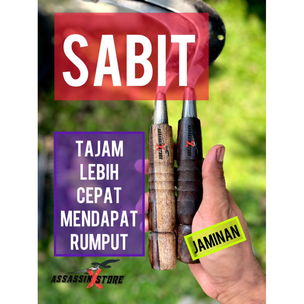 alat pencari rumput tradisional sabit aret berang