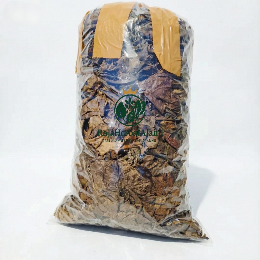 Daun Ketapang Alami untuk Aquarium & Cupang 1kg