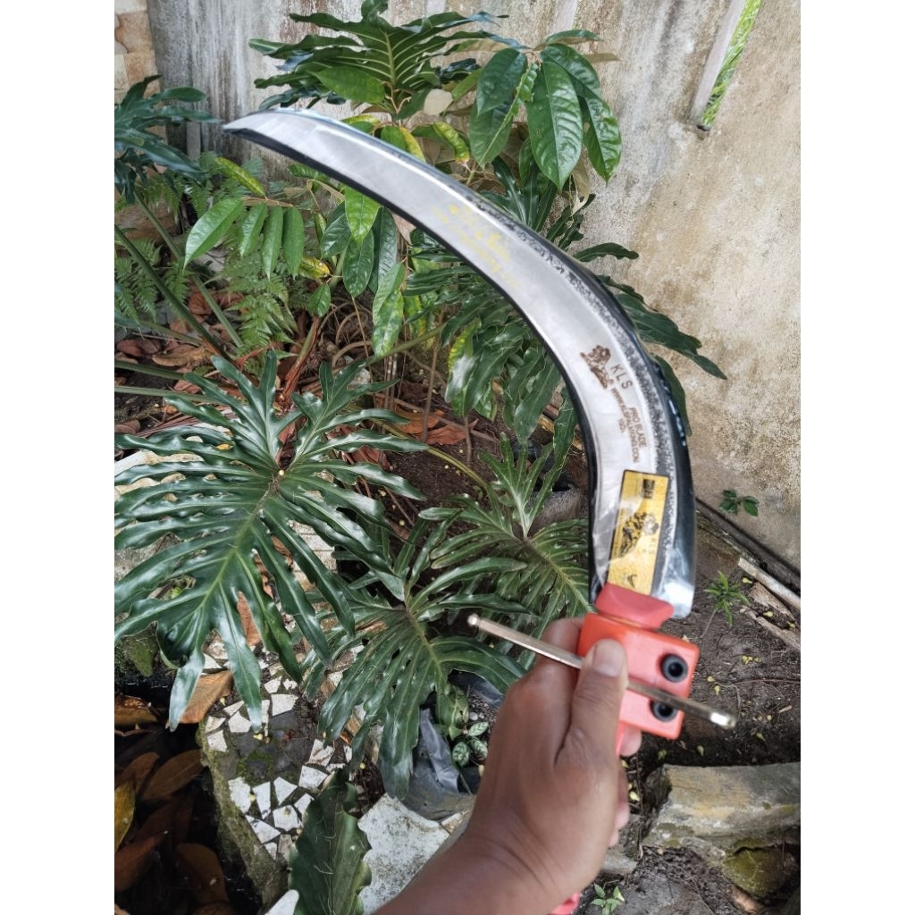 KLS Palm King Pro Original