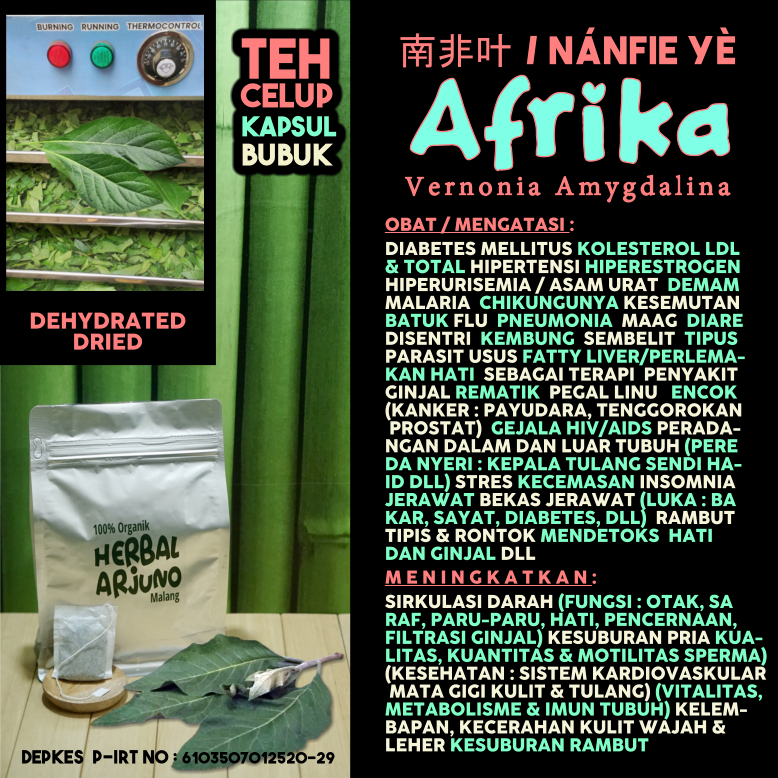 Dehydrated Dried Teh Celup Kapsul Bubuk Daun Pahit Afrika Aprika Obat  Pneumonia Tipus Maag Rematik 