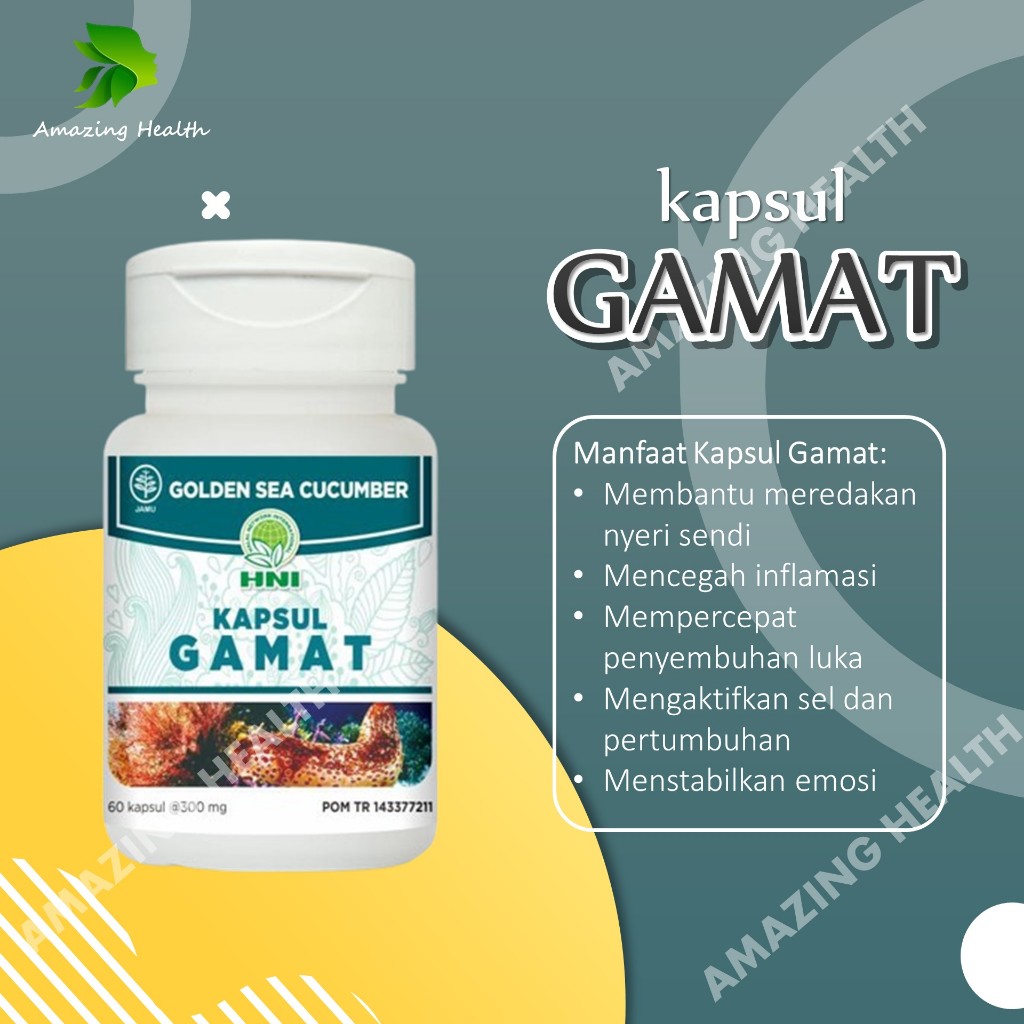 Kapsul Gamat HNI Meredakan Nyeri Sendi - HNI HPAI ORIGINAL