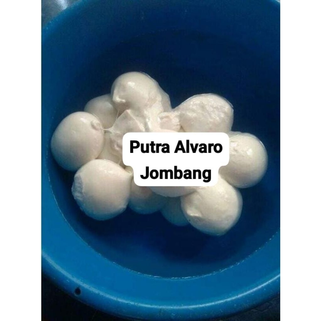 Pulut super lengket anti lalat, tidak bau, pulut pikat burung 100gr/ 1 ons