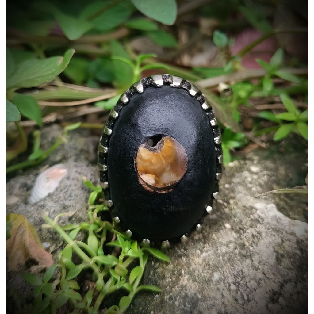 batu akik kelor combong