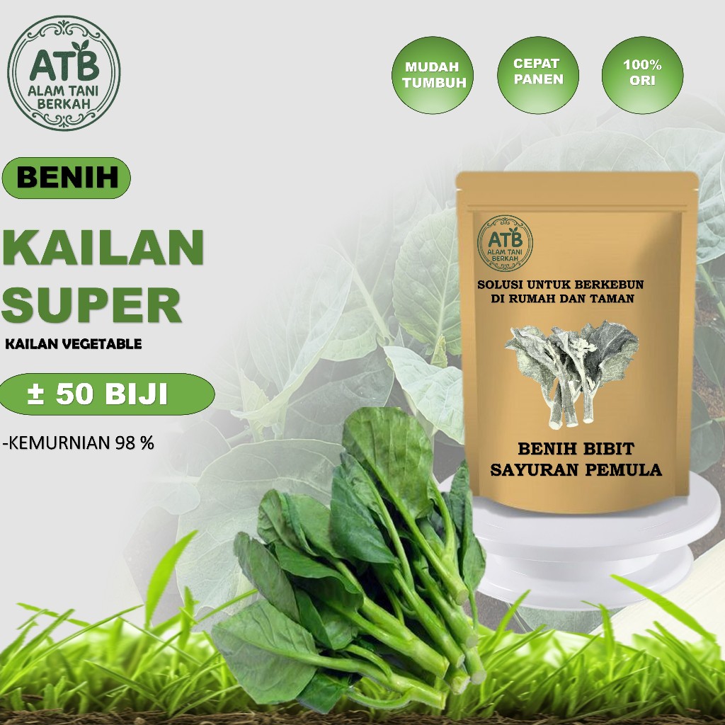 Benih Tanaman Sayuran Kailan / Bibit Sayur Kailan Isi 50 Benih