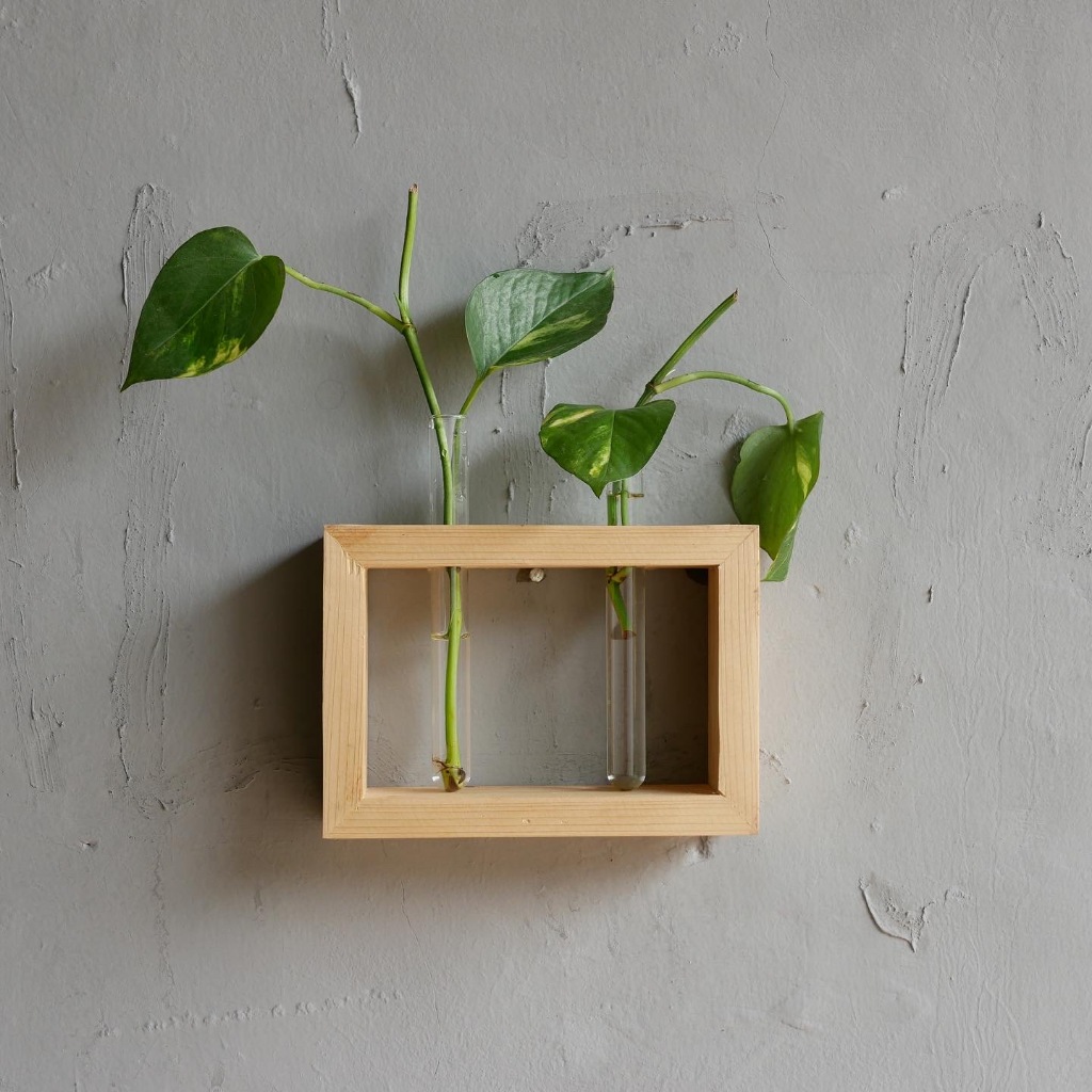 Wooden Glass Test Tube Vase Rack Propagation Aesthetic/Pajangan Bingkai Bunga Kering 2 Tabung/Hiasan