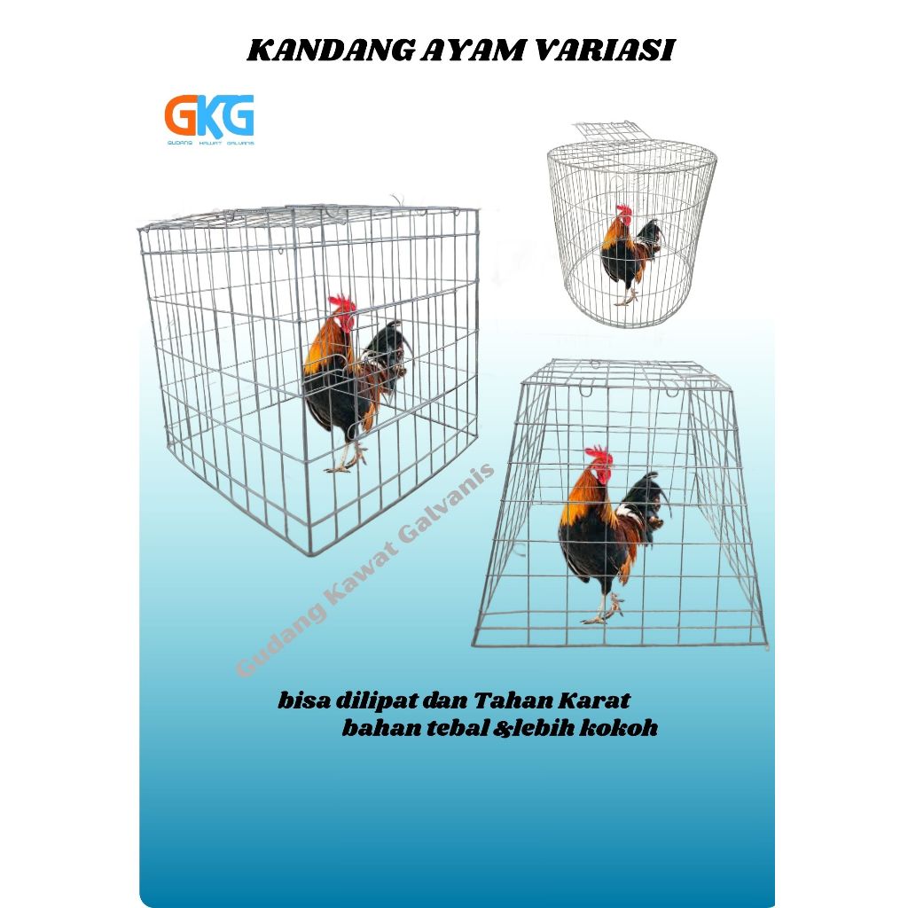 Kandang Umbaran Ayam Variasi Harga Termurah