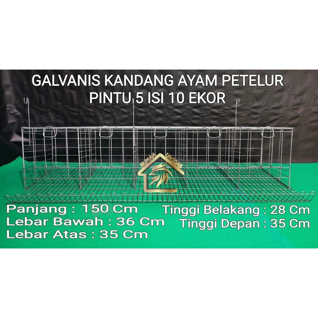 KANDANG LAYER AYAM PETELUR 5 PINTU ISI 10 EKOR GALVANIS