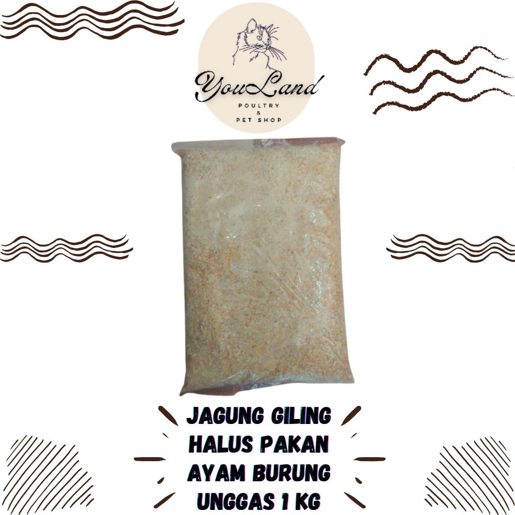 Jagung Giling Halus 1kg Pakan Ayam Burung Unggas