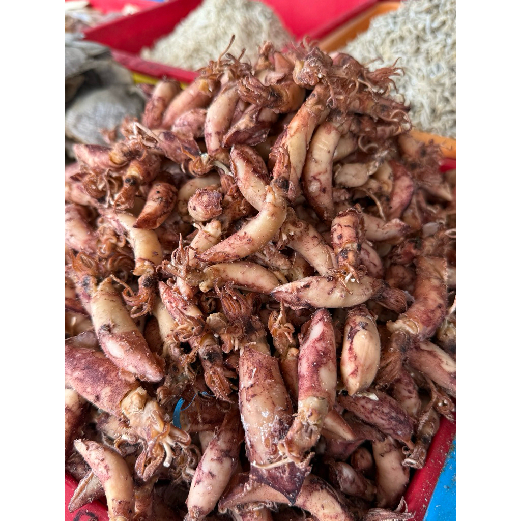 Cumi Asin 100g/ Cumi Asin Telur/ Sotong Asin Kering/ Khas Pontianak