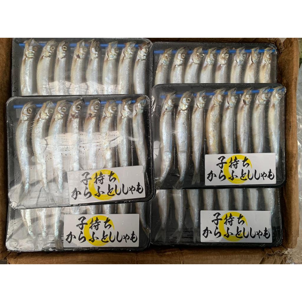 Ikan Shisamo JP / capelin Frozen