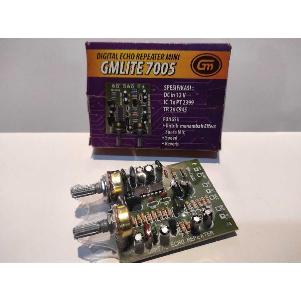 digital echo repeater mini