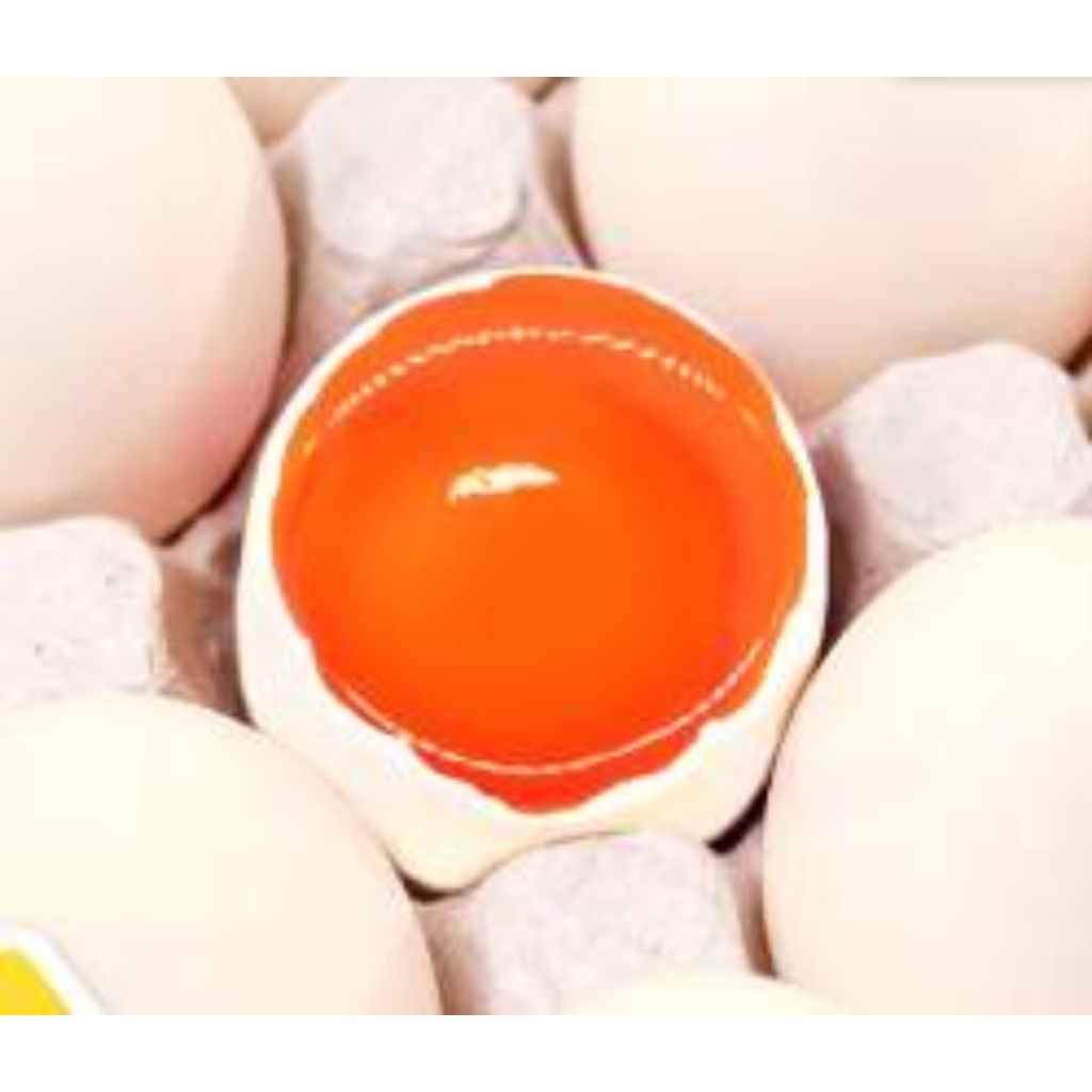 Telur Ayam Kampung Omega