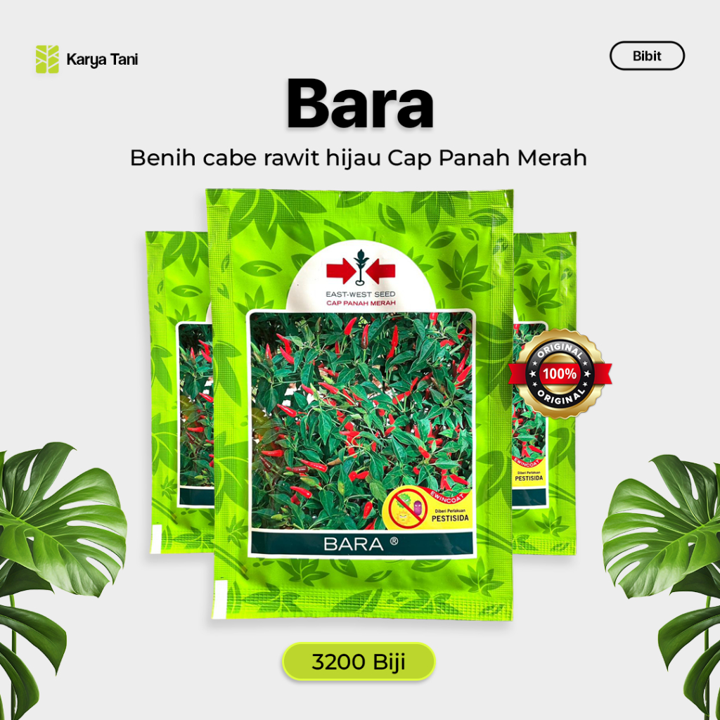 Benih Cabe Rawit Bara 3200 biji Cap Panah Merah Cabe Rawit Cap Panah Merah