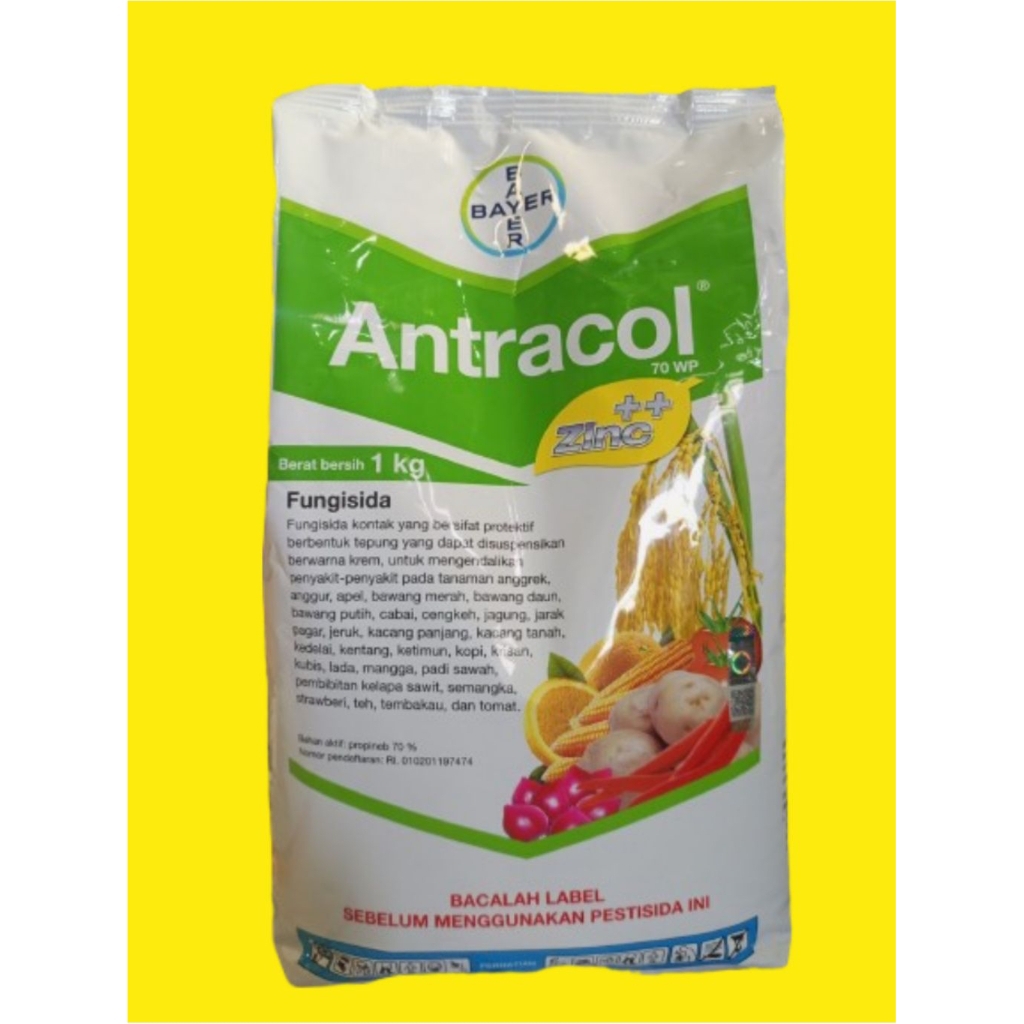 Fungisida Kontak Antracol 70 WP 1Kg