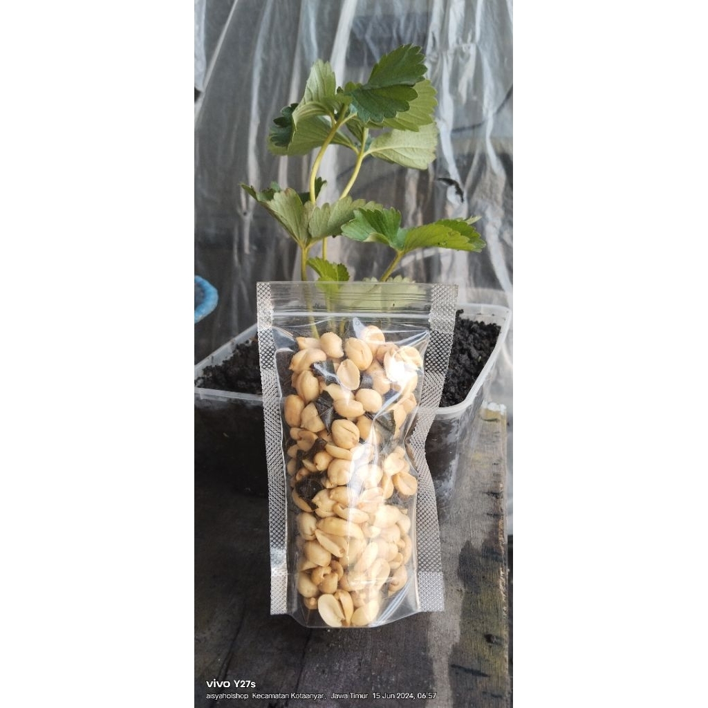 kacang bawang daun jeruk