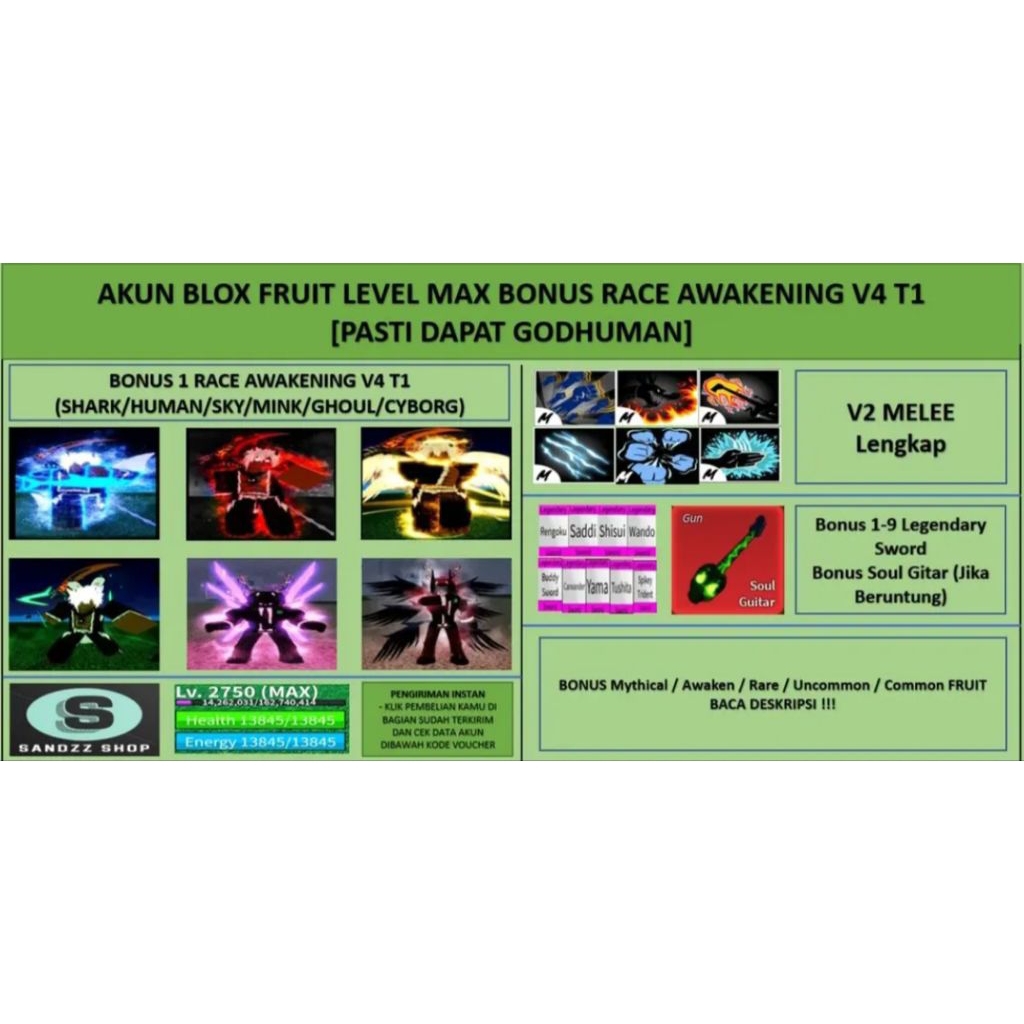 Akun Blox Fruit Level Max Bonus Race Awakening V4 T1 Godhuman
