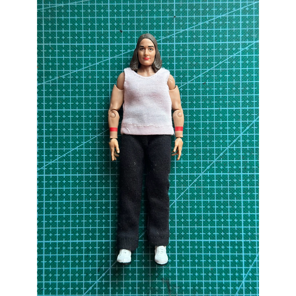 action figure wwe ( cewek )