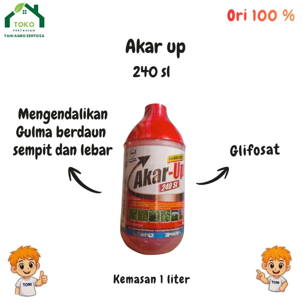 Akar up 240 sl obat rumput basmi rumput liar dan gulma sampai tuntas