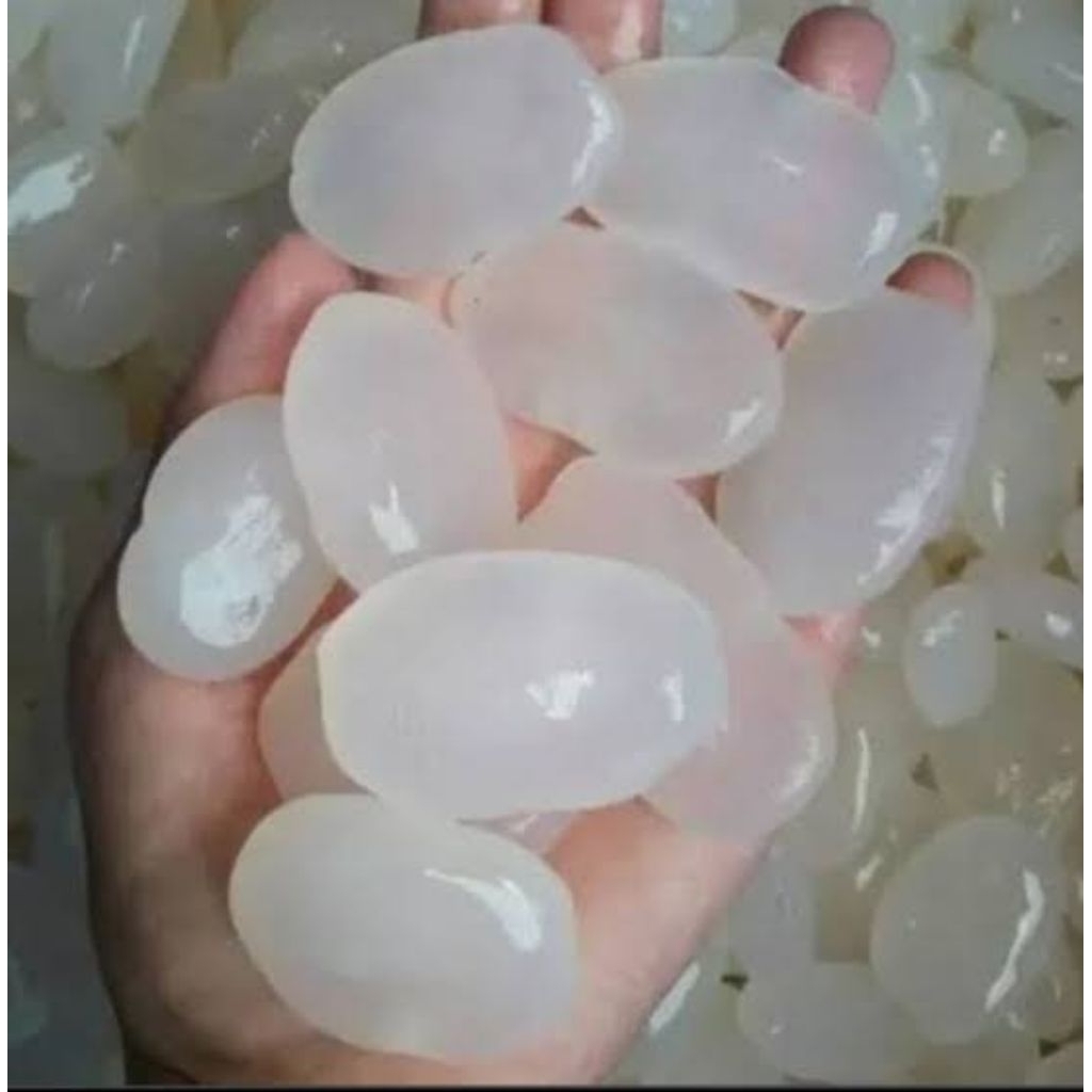 Kolang Kaling segar 1kg kolang Kaling segar / Kolang kaling segar kolang kaling super bahan manisan 