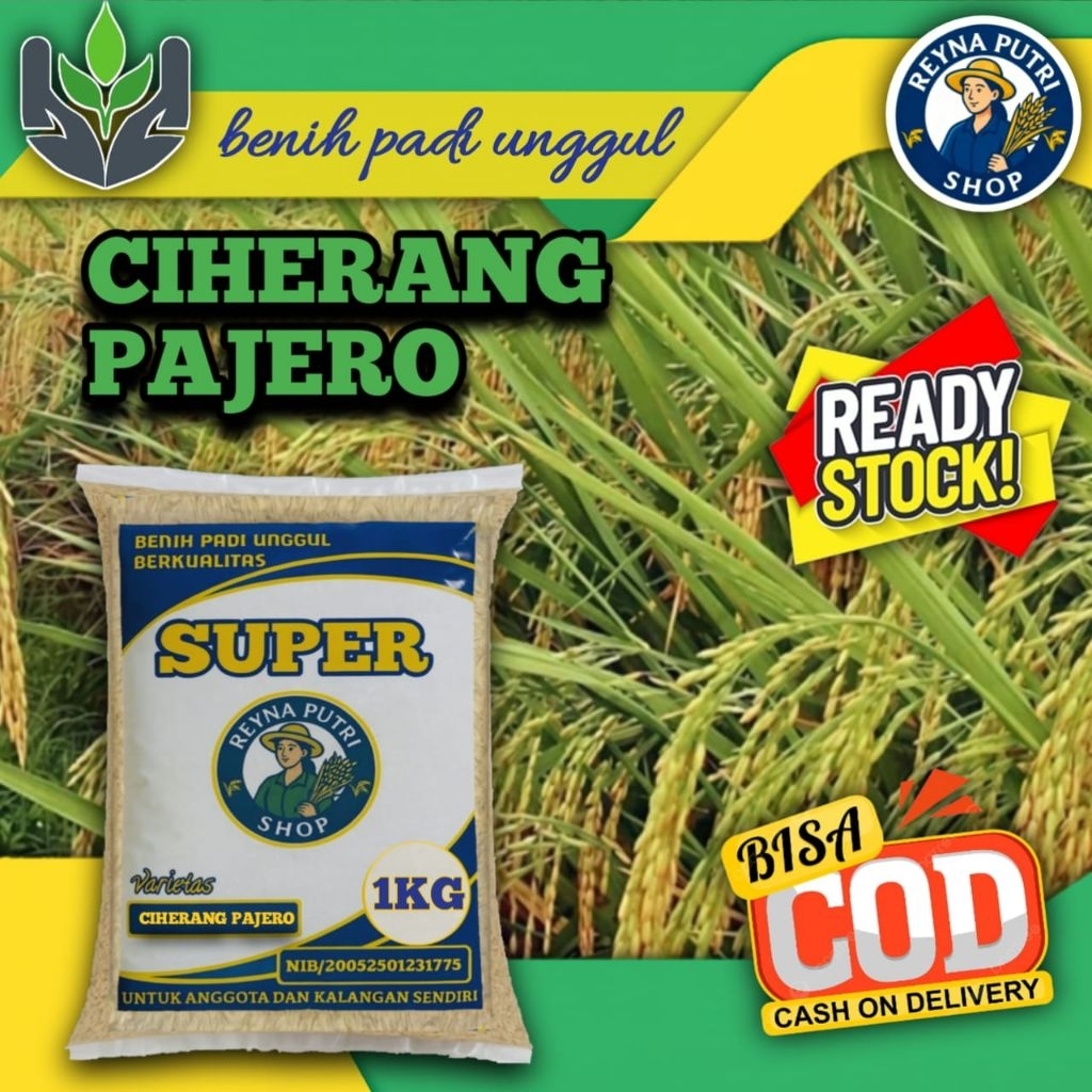 BENIH PADI CIHERANG PAJERO SUPER 1kg