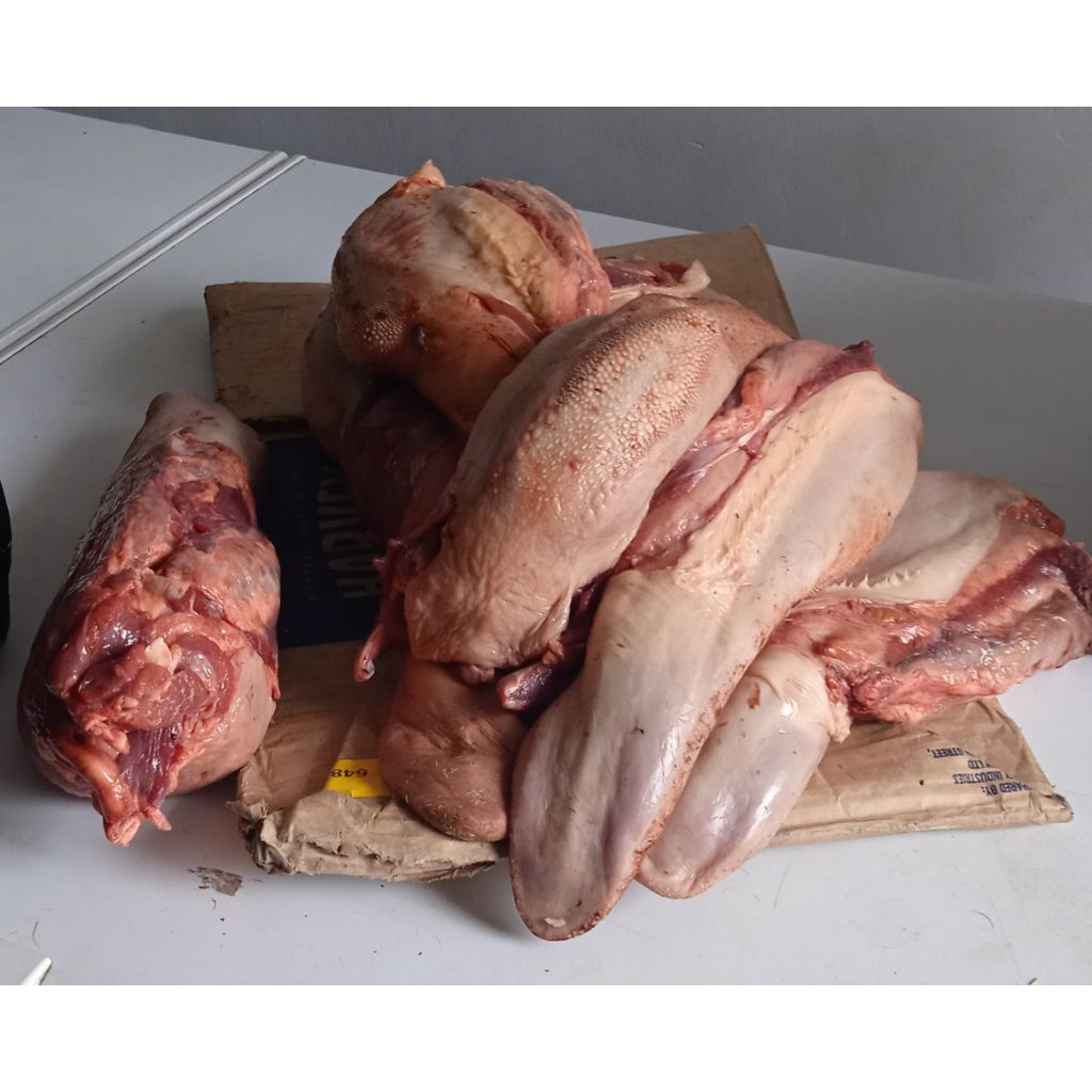 Lidah Sapi Lokal Super