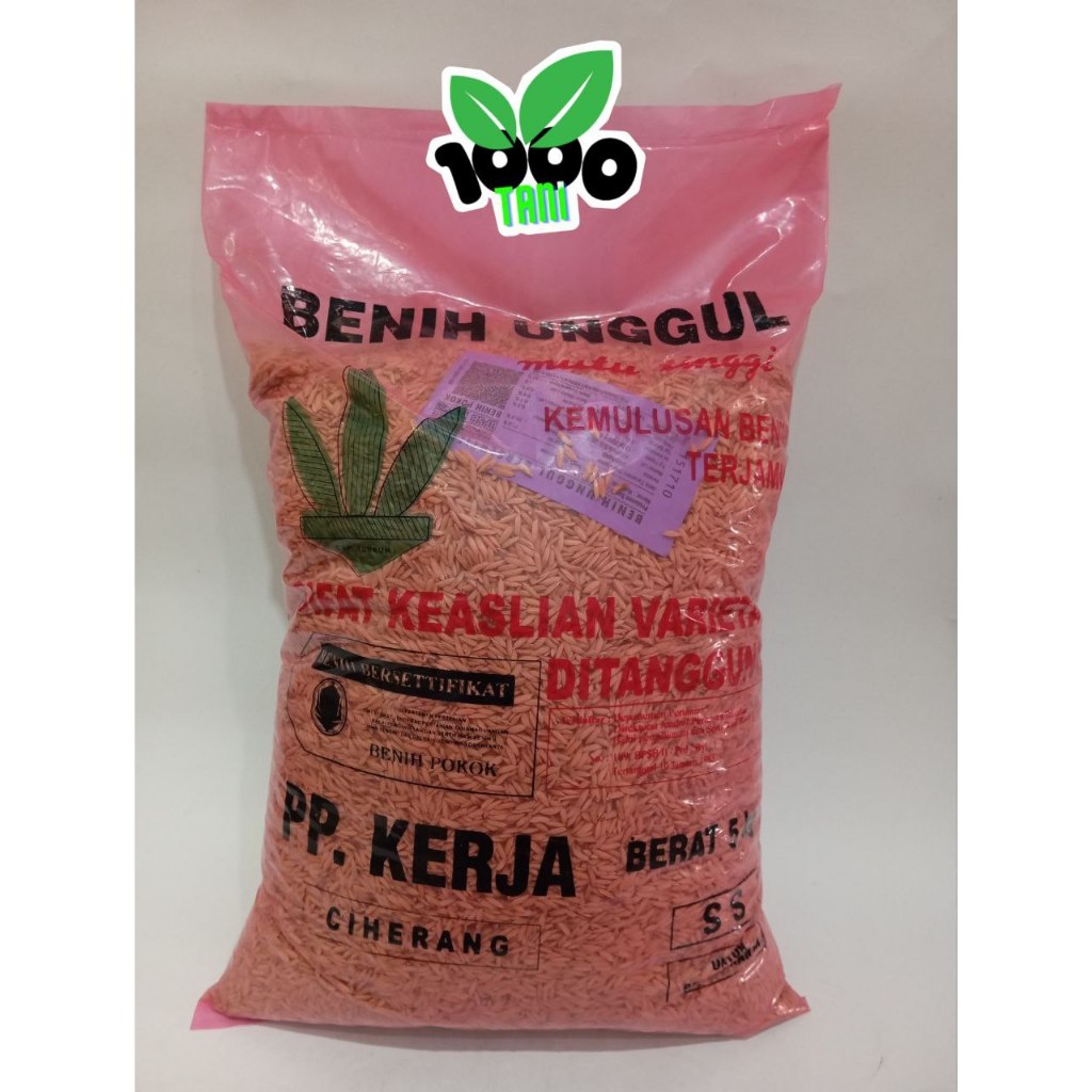 Ciherang PP Kerja Benih padi unggul 5 kg