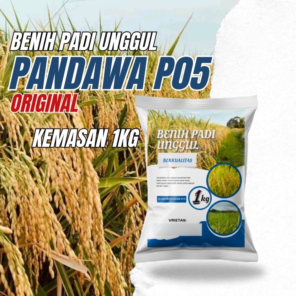 Benih padi unggul pandawa p05 1kg original