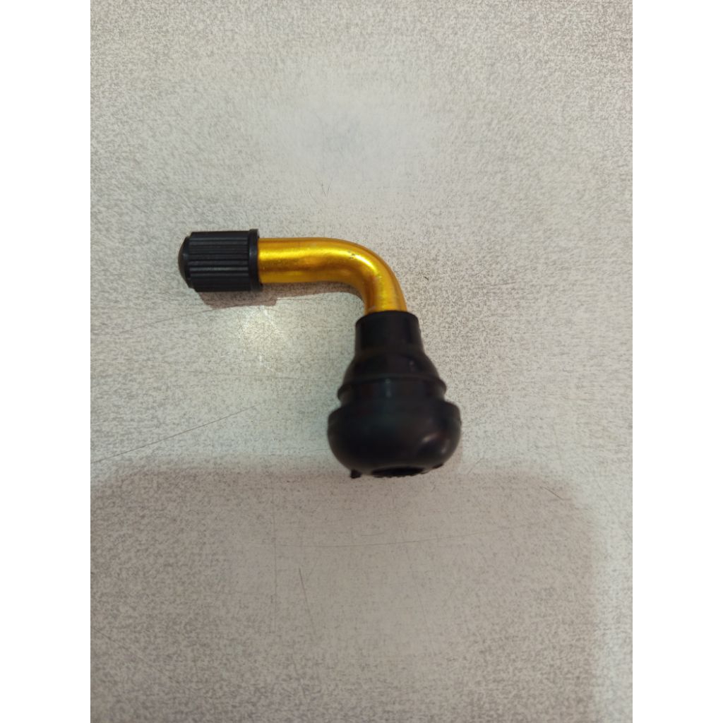 PENTIL TUBLESS KARET BAN MOTOR