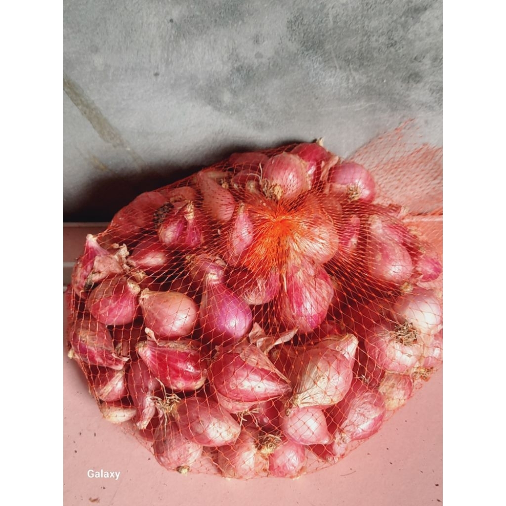 bawang merah super besar lokal sukomoro nganjuk