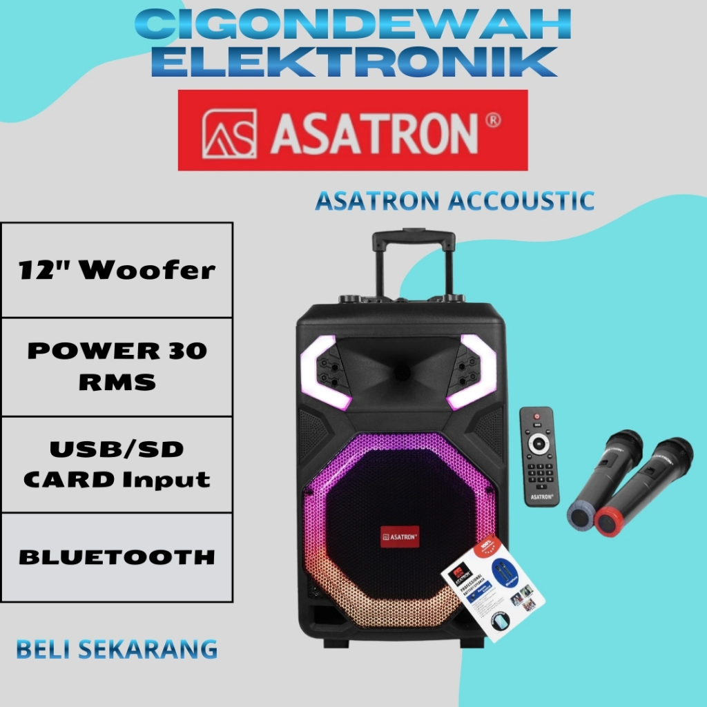 Asatron Acoustic 12 Inch Bluetooth Party Speaker
