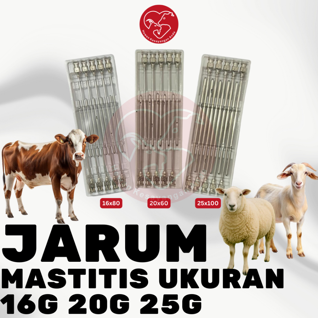 Jarum Suntik Tumpul Reusable untuk Pengobatan Suntik Mastitis Domba Kambing dll