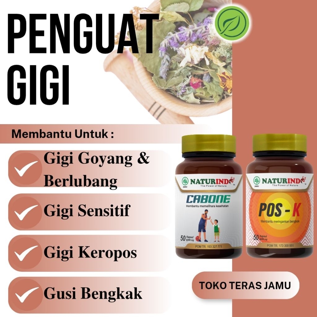 Obat Bantu Atasi Penguat Gigi Goyang Herbal Gigi Goyah Cabone Naturindo