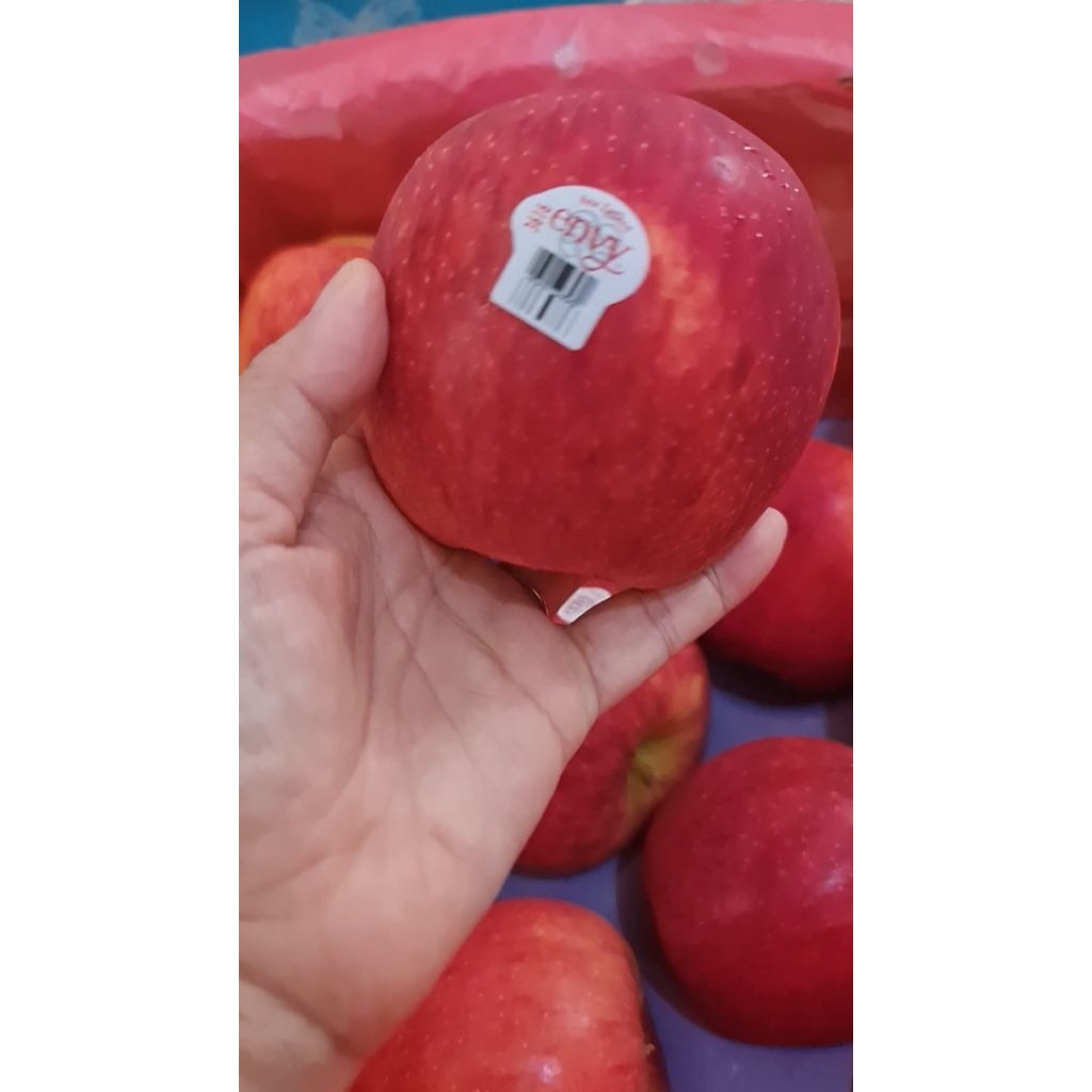 Apel premium Envy New Zealand