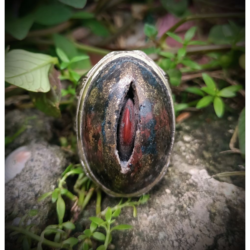 batu akik tundung bawuk