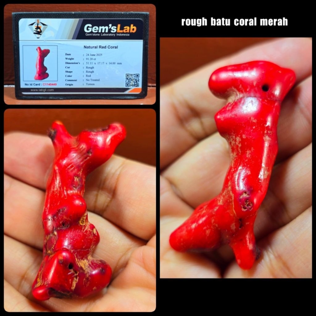 asli 100% bongkahan batu Marjan merah super jumbo