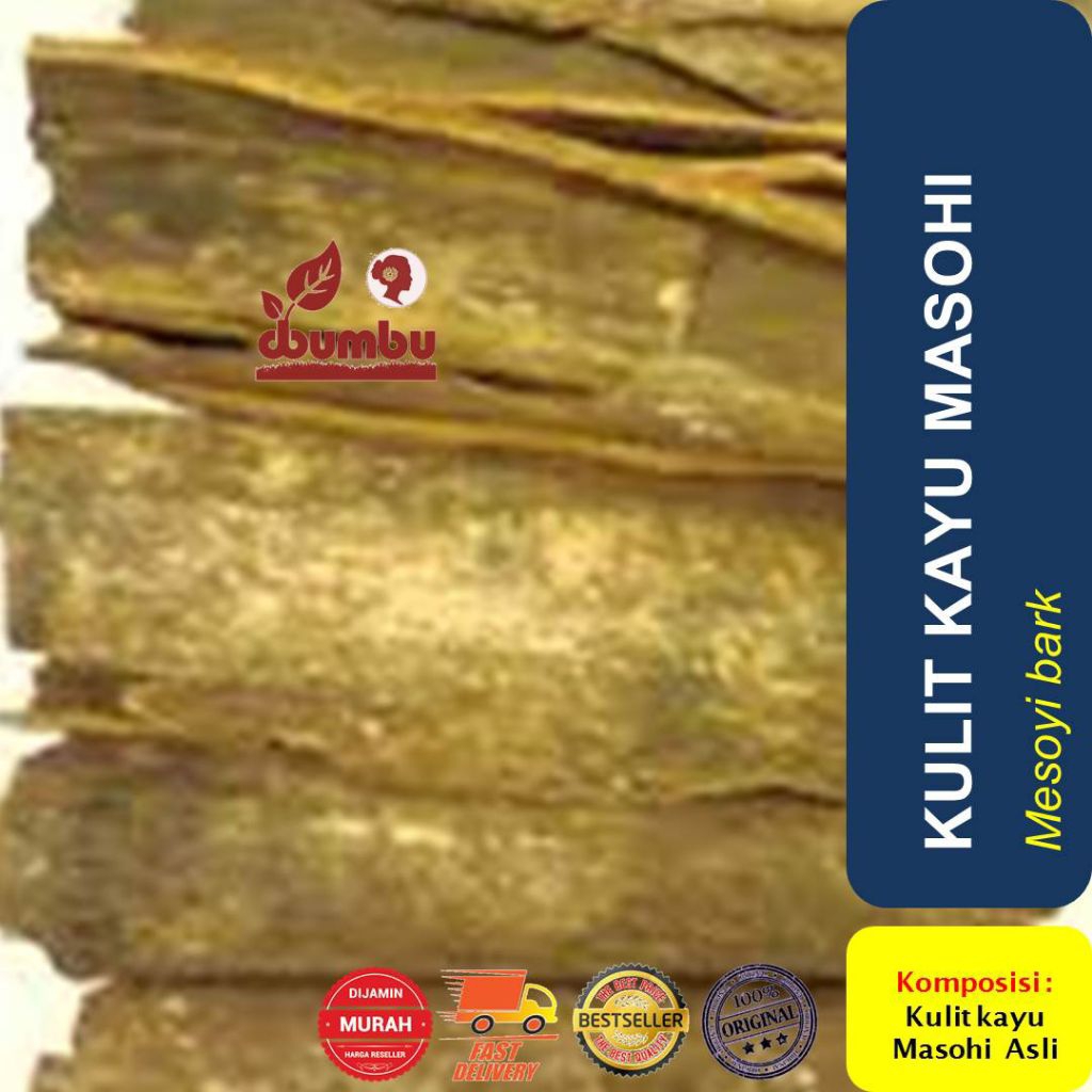 kulit kayu masohi 1kg original