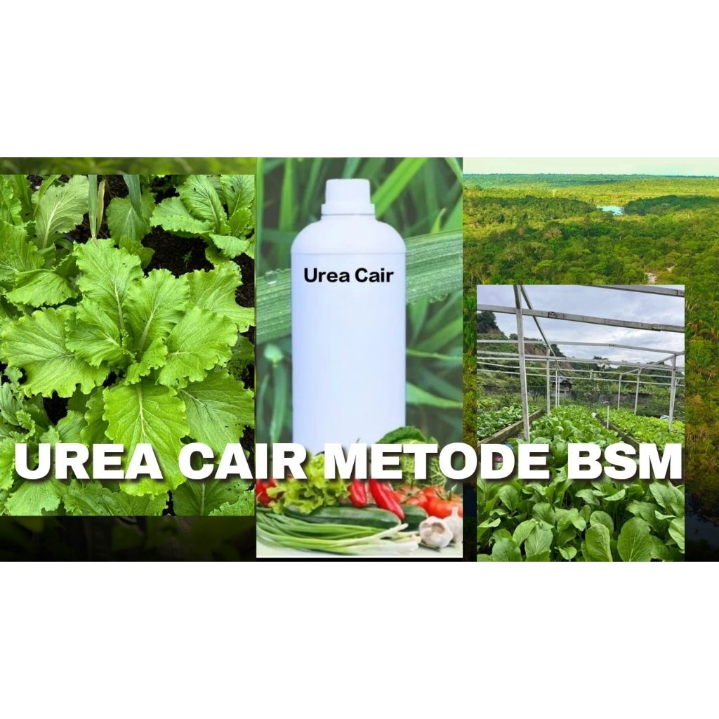 Urea Cair metode BSM