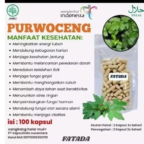 Kapsul AKAR PURWOCENG isi 100 kapsul | Kapsul Sejuta manfaat asli 100% Purwoceng Alami