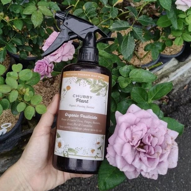 SIAP PAKAI PESTISIDA organik basmi hama bakteri virus jamur spora tanaman mawar hias sayur buah