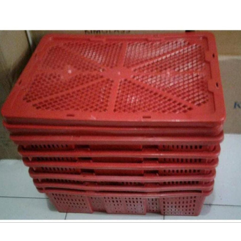 PAKET Keranjang buah lengkeng jeruk anggur 1 lusin (isi 12pcs)