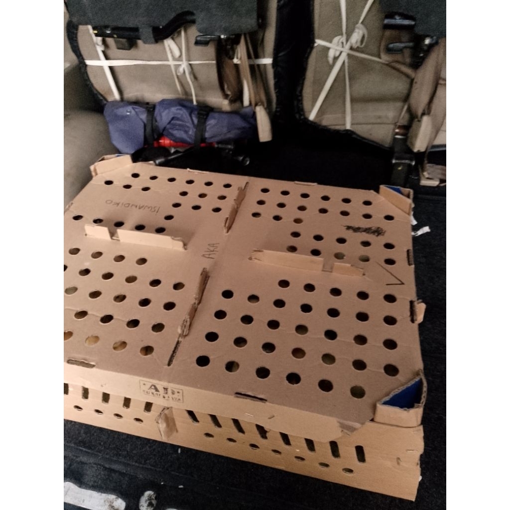 1 Box.isi 100 ekor DOC (Day Old Chiken).Strain. AKA bibit anak ayam kampung Asli