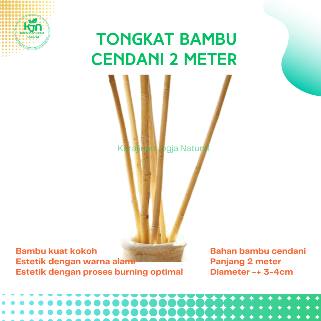 Bambu Polos Panjang 2 Meter Diameter Besar Harga Perbatang / Bambu Dekorasi / Bambu Estetik / Bambu 
