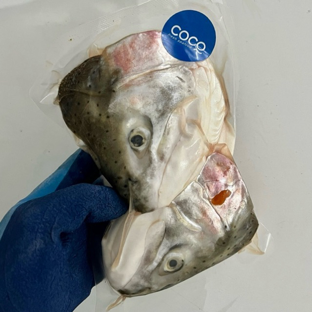 Kepala Ikan Salmon (Salmon Head) Fresh Frozen