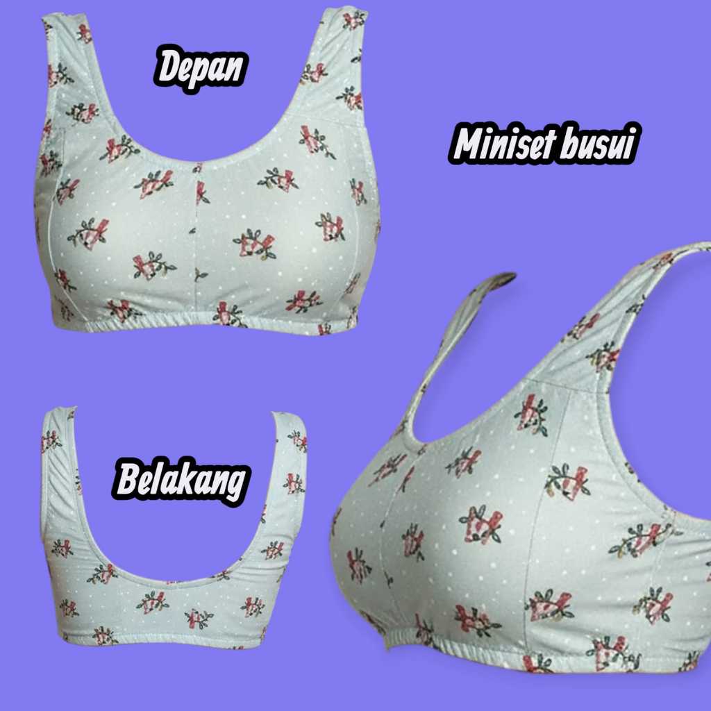 6 PCS | Miniset dewasa/ bh menyusui/BH kerut/ BH full karet