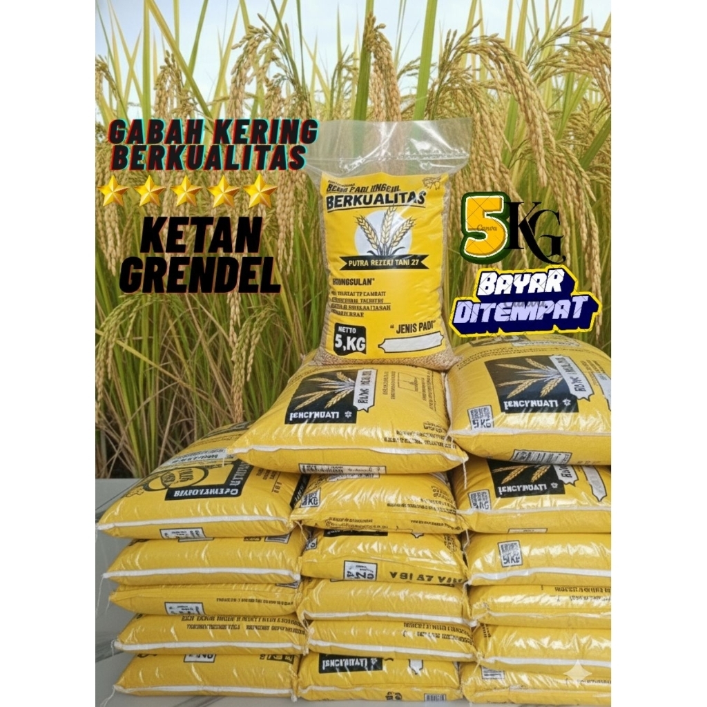 Benih padi unggul Ketan grendel (ketan putih) kemasan 5kg